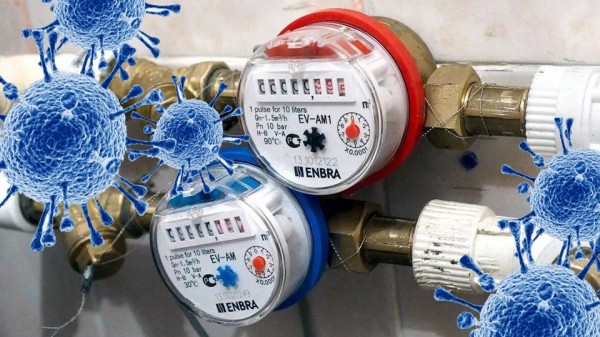 Пандемия ревизоров