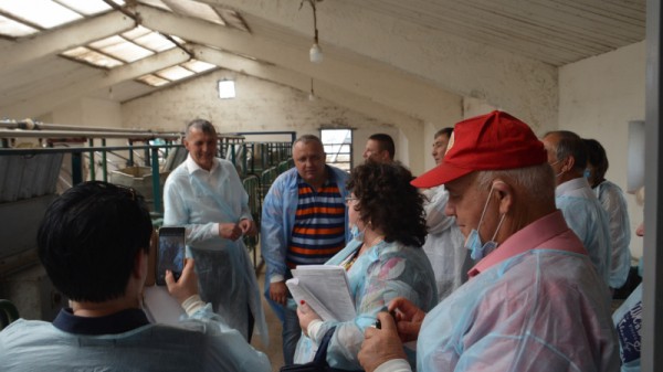 Министр о студенческой практике в коровнике: «Надо все ручками потрогать»
Министр о студенческой практике в коровнике: «Надо все ручками потрогать»