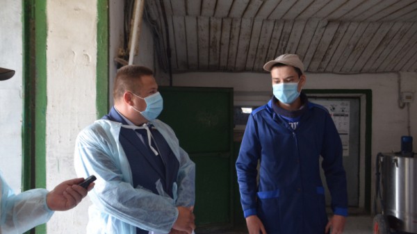 Министр о студенческой практике в коровнике: «Надо все ручками потрогать»
Министр о студенческой практике в коровнике: «Надо все ручками потрогать»