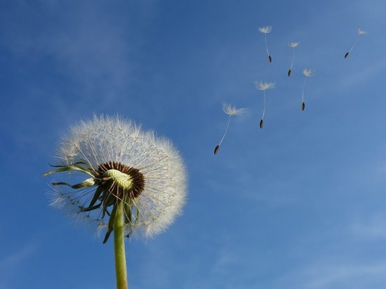 В Саратове похоладает до +3 градусов и подует северный ветер В Саратове похоладает до +3 градусов и подует северный ветер
