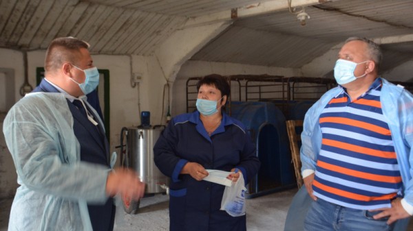 Министр о студенческой практике в коровнике: «Надо все ручками потрогать»
Министр о студенческой практике в коровнике: «Надо все ручками потрогать»