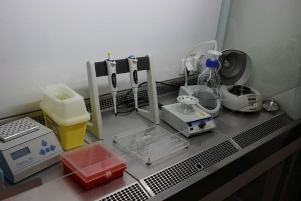 Заболеваемость коронавирусом продолжает держаться на высоком уровне: за сутки выявили 96 новых случаев