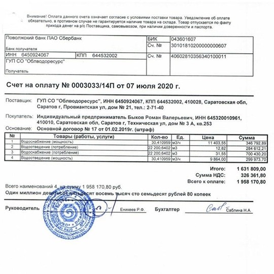 Пандемия ревизоров