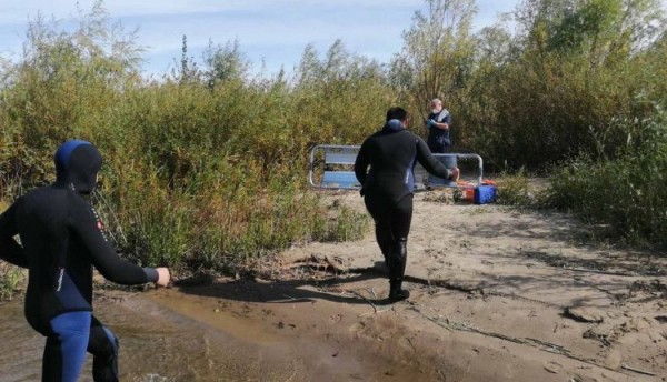 
Женщина спрыгнула с моста