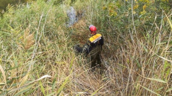 Под Саратовом спасатели выловили утопленника
Под Саратовом спасатели выловили утопленника