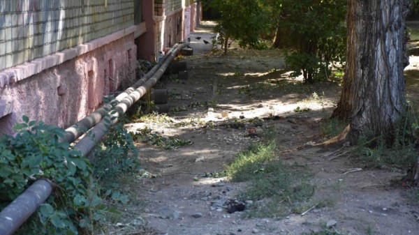 Благоустройство дворов. Саратовцы пожаловались на рабочих, спиливших два десятка деревьев
Благоустройство дворов. Саратовцы пожаловались на рабочих, спиливших два десятка деревьев