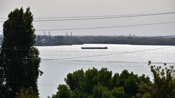 В саратовском музее зачитали поздравление президента России
В саратовском музее зачитали поздравление президента России