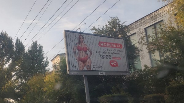 &laquo;Нехорошая тетка&raquo;: саратовцы устроили в соцсети спор о татуированной даме в купальнике на билборде
