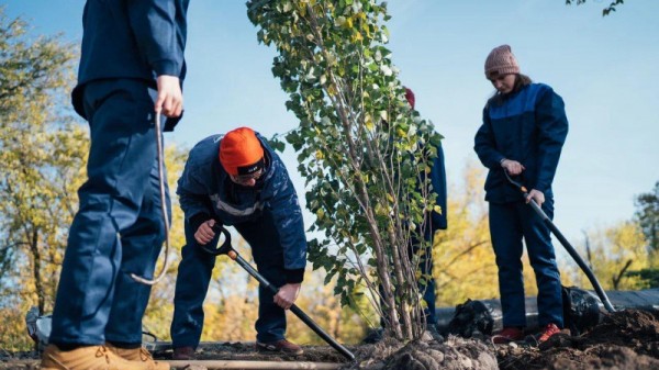 В Парке покорителей космоса высадят советские тополя, похожие на ракеты
В Парке покорителей космоса высадят советские тополя, похожие на ракеты