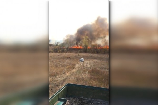 В Лысогорском районе два дня горел лес. Огонь чуть не перекинулся на ближайшее село
