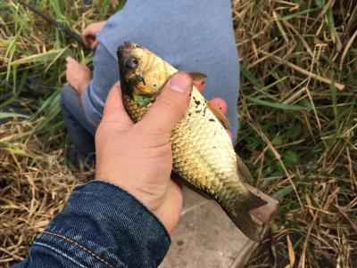 ГУ МЧС объяснило, что делать рыбакам, если их лодка опрокинулась
ГУ МЧС объяснило, что делать рыбакам, если их лодка опрокинулась