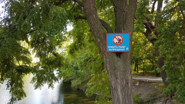 Балаковца отправили в колонию строгого режима за получасовую рыбалку
