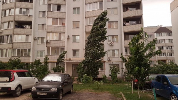 Синоптики: пятница будет дождливой и ветреной
Синоптики: пятница будет дождливой и ветреной