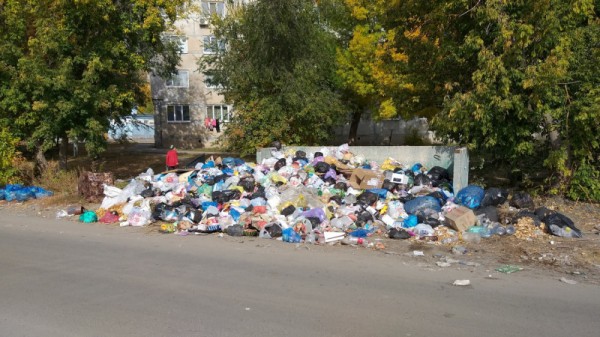 Гора мусора в Заводском районе: наказан руководитель управляющей компании
