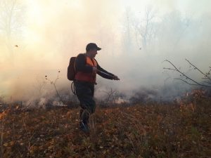 Спасатели участвуют в ликвидации природных пожаров 
Спасатели участвуют в ликвидации природных пожаров