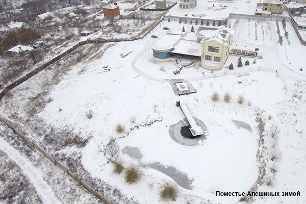Адъютант своего превосходительства
