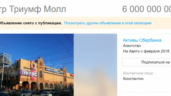 Саратовский &laquo;Триумф Молл&raquo; выставили на продажу за 6 миллиардов
