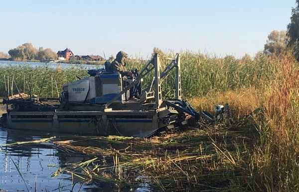 Под Саратовом шведская машина косит камыш в акватории Волги