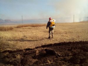 Спасатели участвуют в ликвидации природных пожаров 
Спасатели участвуют в ликвидации природных пожаров