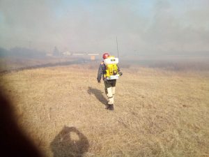 Спасатели участвуют в ликвидации природных пожаров 
Спасатели участвуют в ликвидации природных пожаров