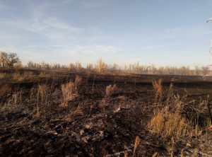 Спасатели участвуют в ликвидации природных пожаров 
Спасатели участвуют в ликвидации природных пожаров