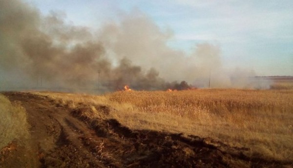 Спасатели участвуют в ликвидации природных пожаров 
Спасатели участвуют в ликвидации природных пожаров
