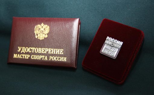 
Спортсмены и судьи региона получили почетные спортивные звания