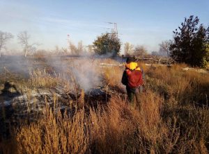 Спасатели участвуют в ликвидации природных пожаров 
Спасатели участвуют в ликвидации природных пожаров