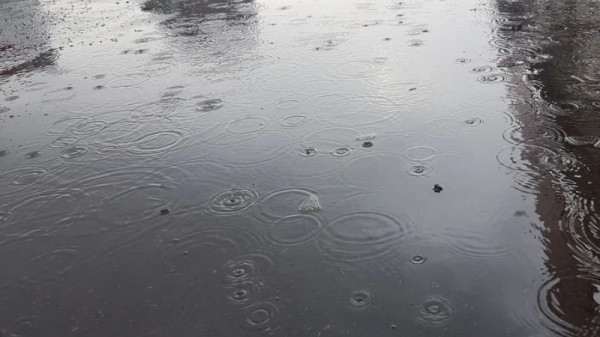 Саратовцам пообещали дождливое воскресенье
Саратовцам пообещали дождливое воскресенье