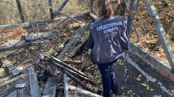 В заброшенной даче под Саратовом нашли человеческие кости
