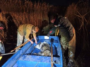 
Спасатели пришли на помощь собаке в Ленинском районе
