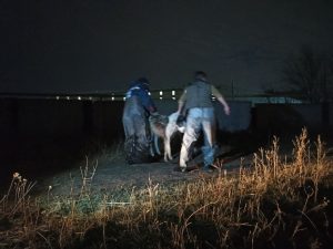 
Спасатели пришли на помощь собаке в Ленинском районе
