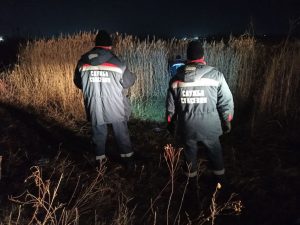 
Спасатели пришли на помощь собаке в Ленинском районе
