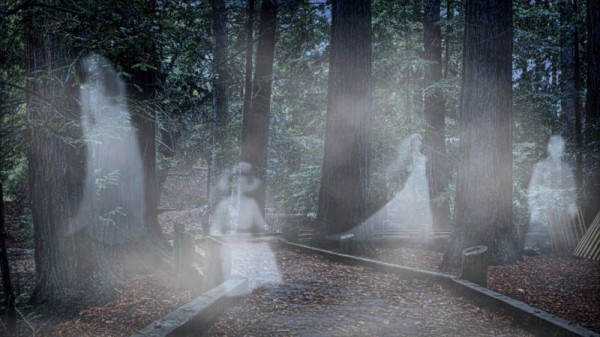 Маркетологи включили Саратов в топ-5 городов, жители которых больше всех верят в привидения
Маркетологи включили Саратов в топ-5 городов, жители которых больше всех верят в привидения