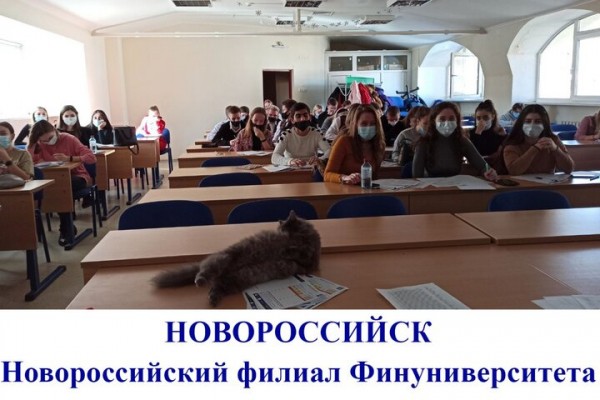 На флешмоб по математике MathCat в этом году пришло больше участников, чем до пандемии