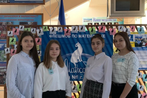 На флешмоб по математике MathCat в этом году пришло больше участников, чем до пандемии