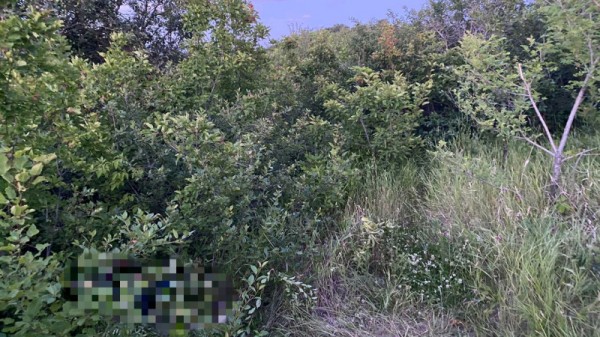 Саратовца убили за то, что он обозвал друга голубым: вердикт присяжных
Саратовца убили за то, что он обозвал друга голубым: вердикт присяжных