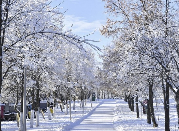 Температура в Саратовской области уйдет в плюс