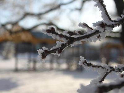 
В Саратовской области прогнозируется морозная погода					