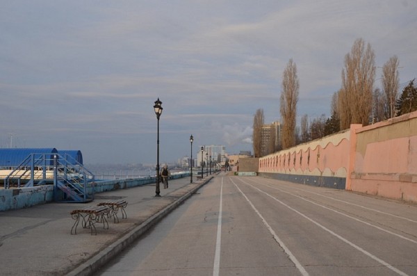 При реконструкции набережной Саратова пообещали сохранить деревья