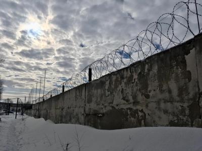 
"Скопинского маньяка" выпустили на свободу тайно 					