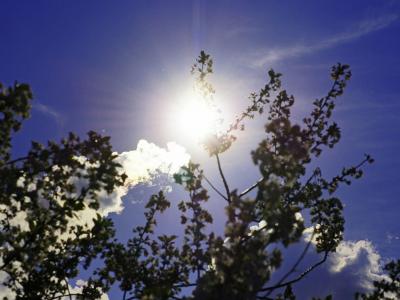 
26 июня синоптики обещают до +38 градусов					