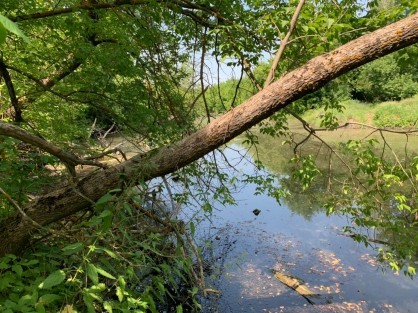 В реке под Саратовом обнаружили пятого утопленника