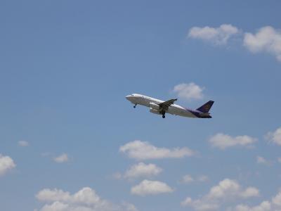 
Многодетной семье выделили участок под дом возле аэродрома					