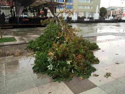 
В Саратове прошел ливень					