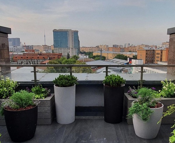 Саратовская актриса похвасталась садом в московской квартире