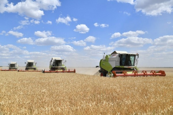 Валерий Радаев посетил одно из самых крупных сельхозпредприятий Ершовского района