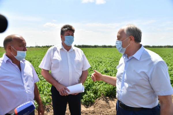 Губернатор Валерий Радаев посетил ряд сельхозпредприятий Энгельсского района