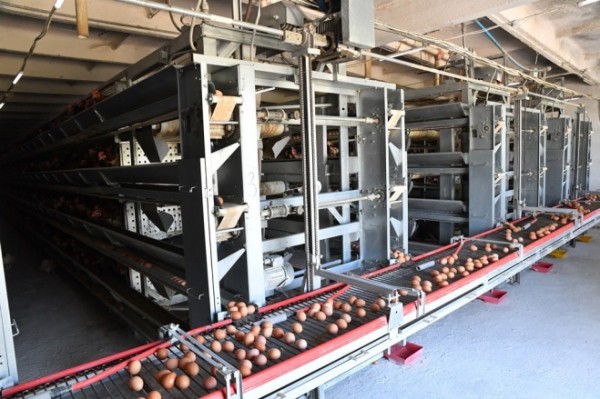 Губернатор посетил одно из предприятий Аткарского района