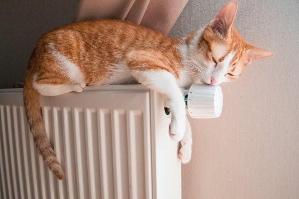 Саратовские чиновники объяснили платежки за отопление в июле